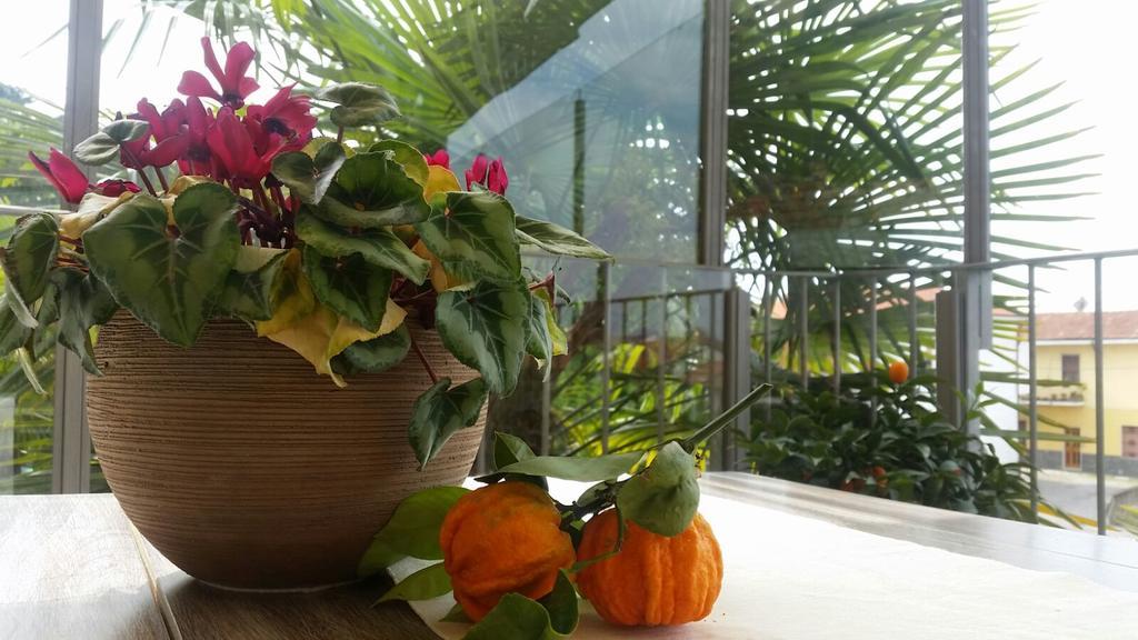 La Corte Sul Naviglio Boffalora sopra Ticino Dış mekan fotoğraf